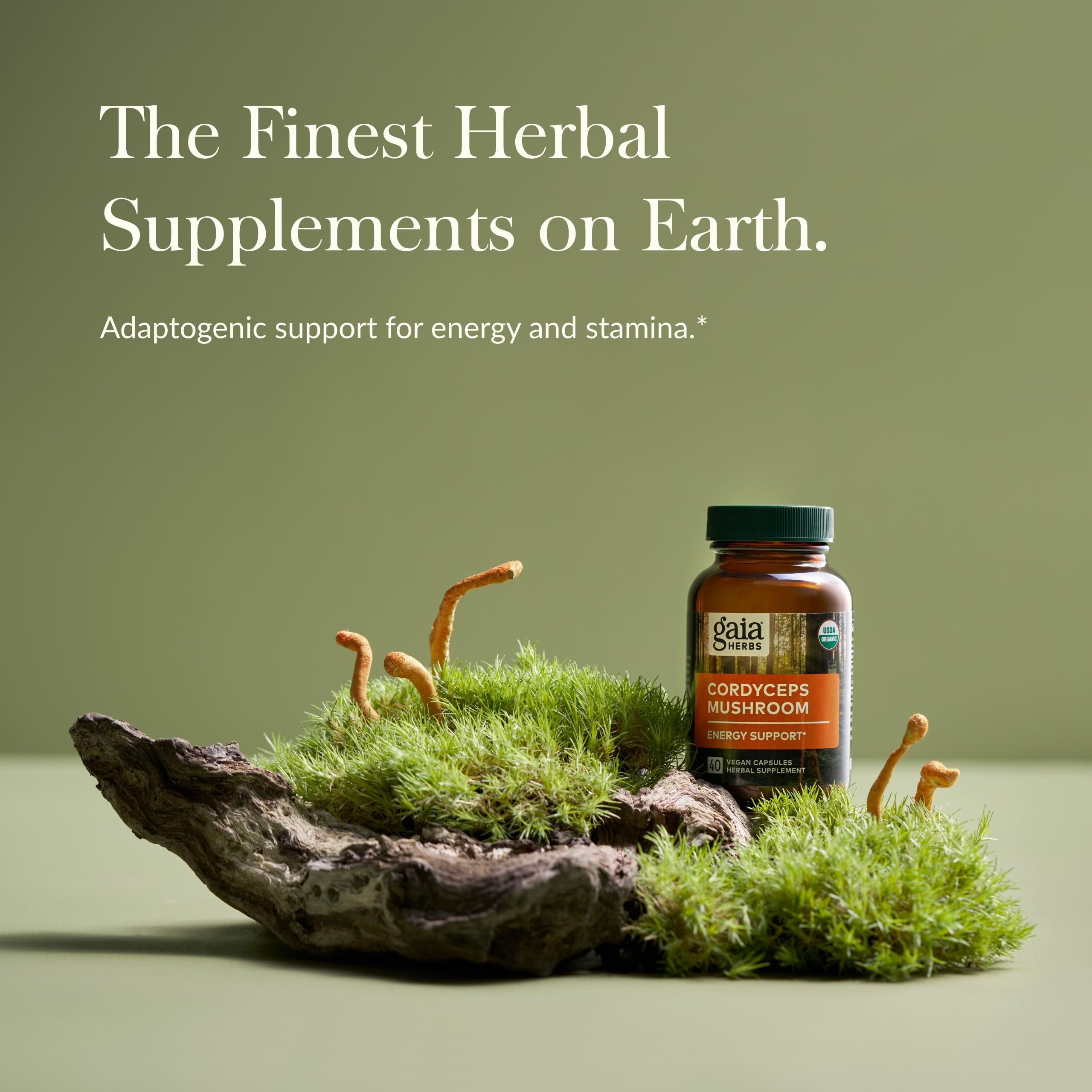 Cordyceps mushroom extract graphic highlighting 100% mushroom extract