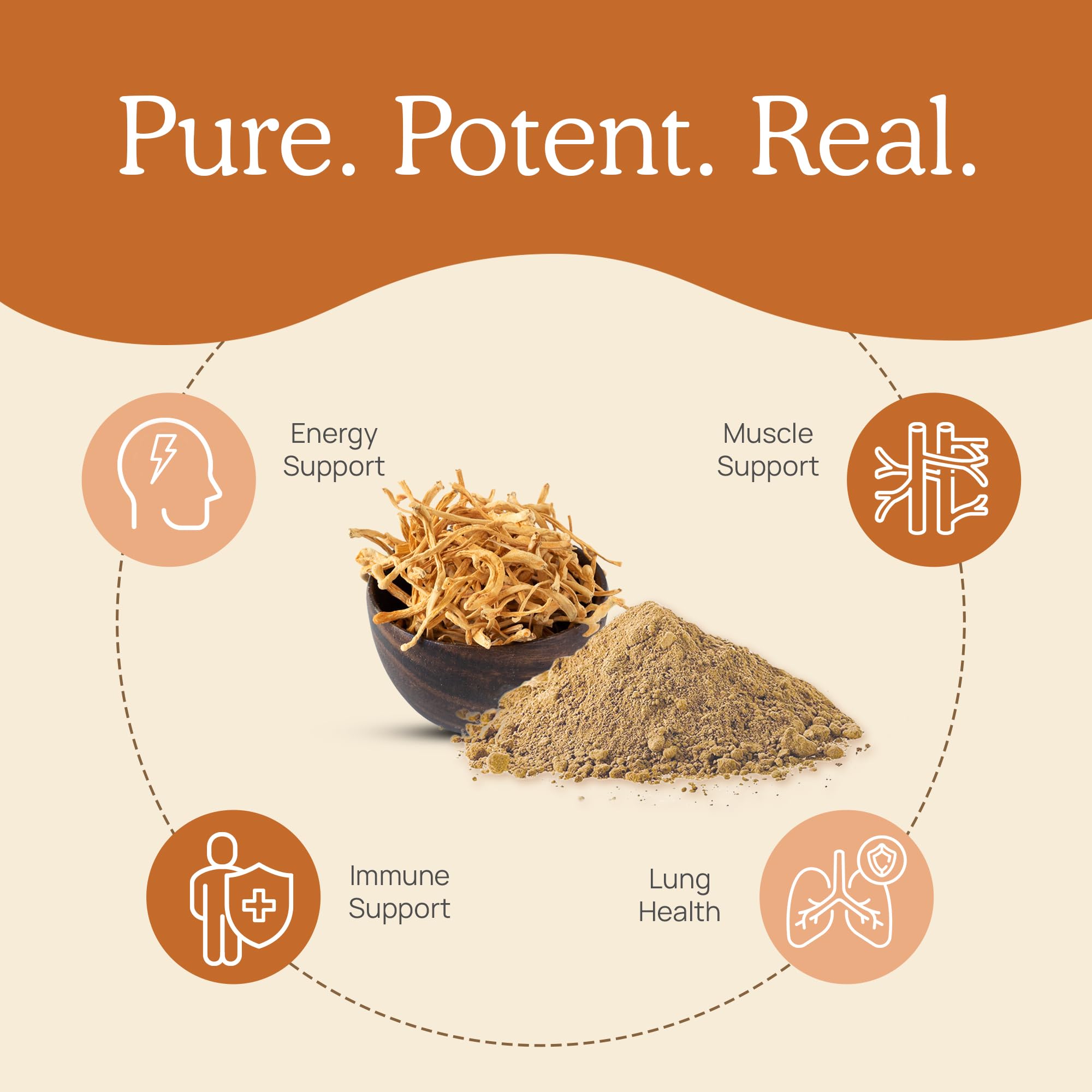 USA-made NSF-certified facility badge for cordyceps powder