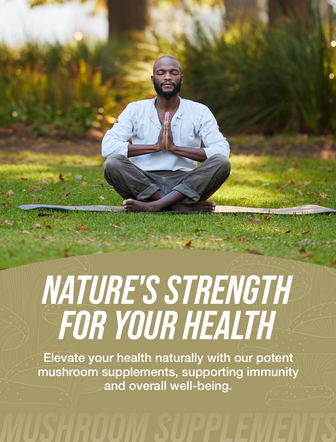 Coriolus Versicolor extract powder close-up