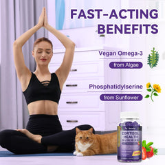 Lion's Mane and Omega-3s for cognitive support