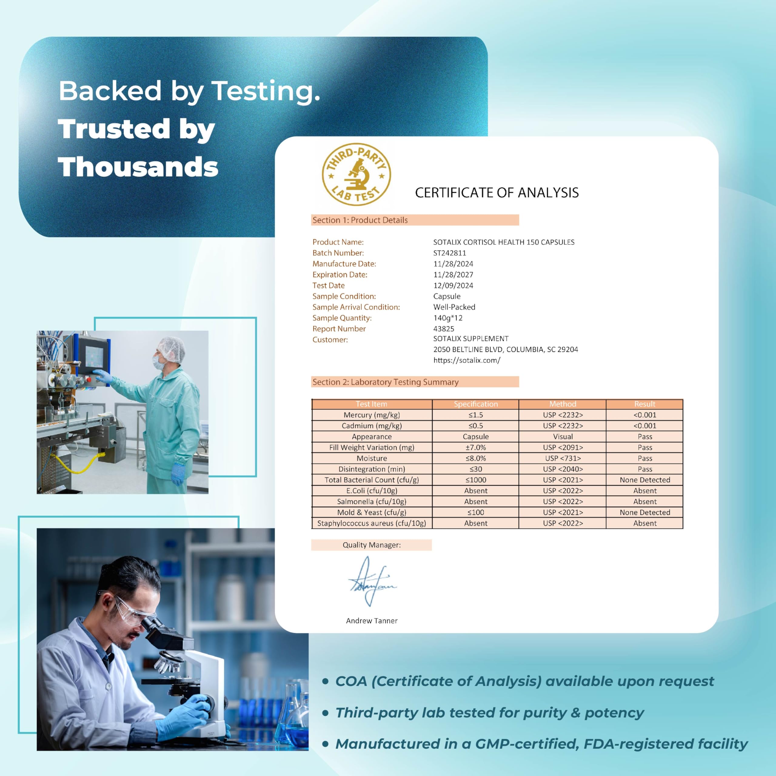 Natural background with mushrooms representing the 10-mushroom complex