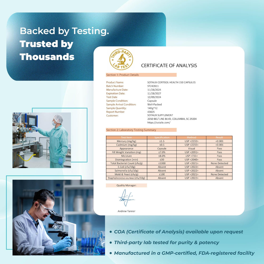 Natural background with mushrooms representing the 10-mushroom complex