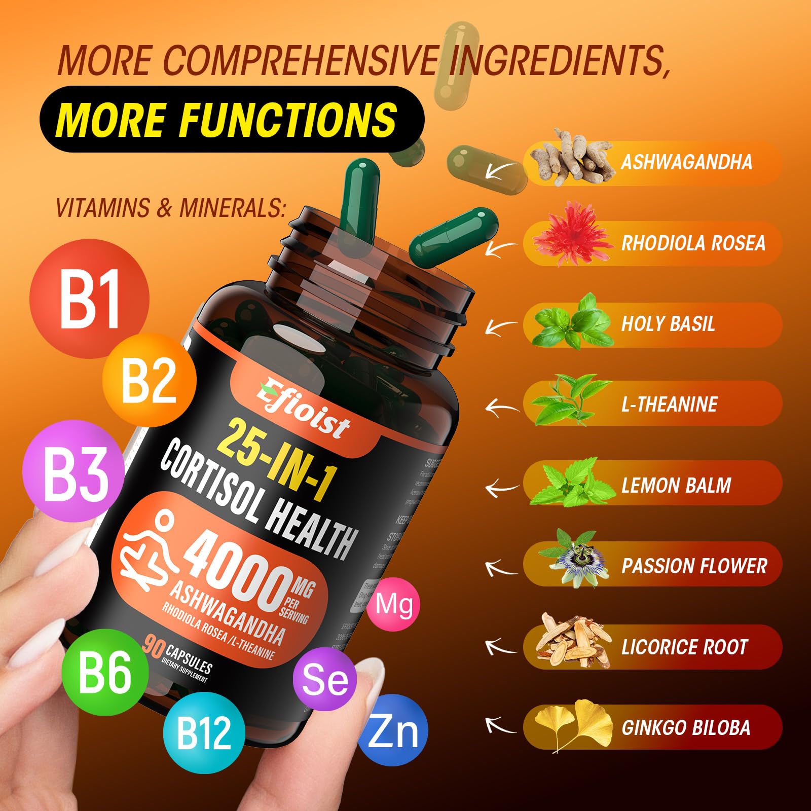 Rhodiola Rosea and L-Theanine capsules close-up