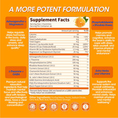 Close-up of ingredients: Ashwagandha, L-Theanine, Phosphatidylserine