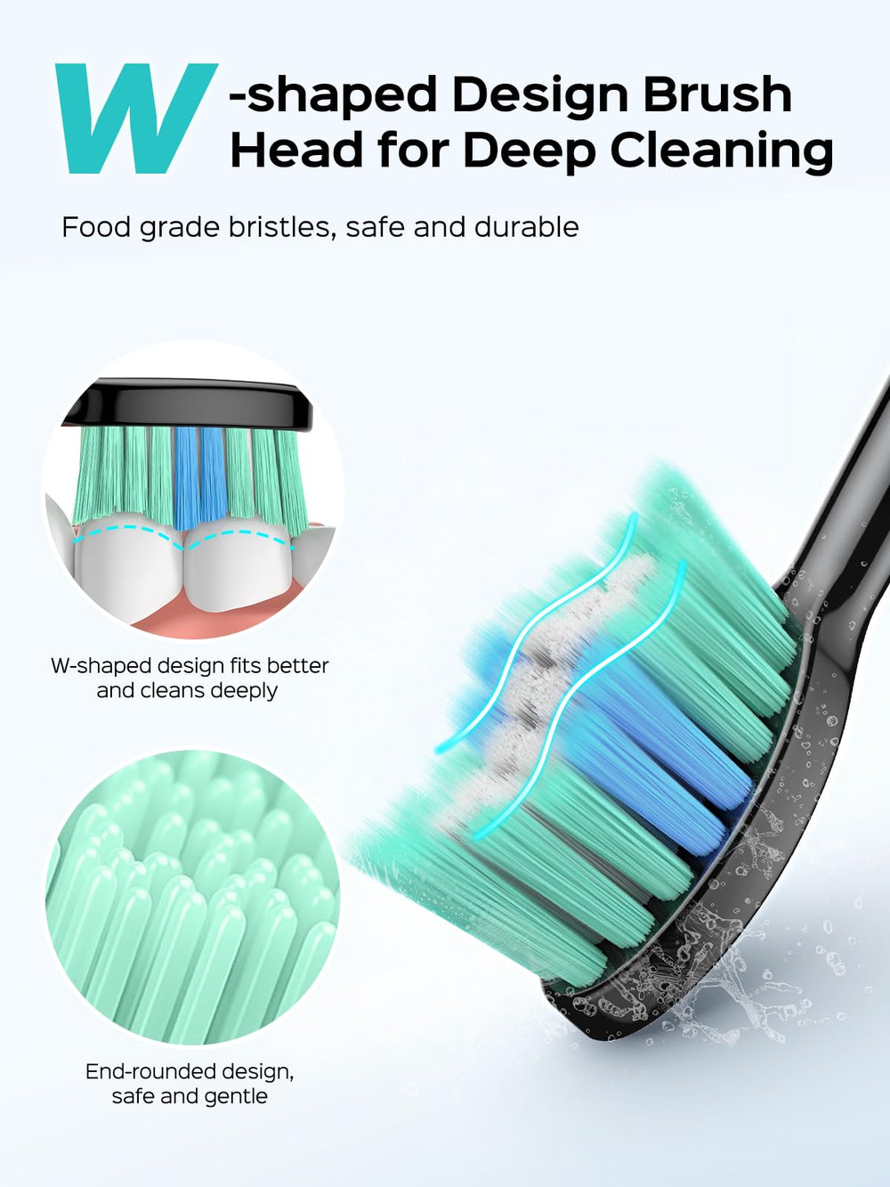 W-shaped brush design with safe, durable bristles