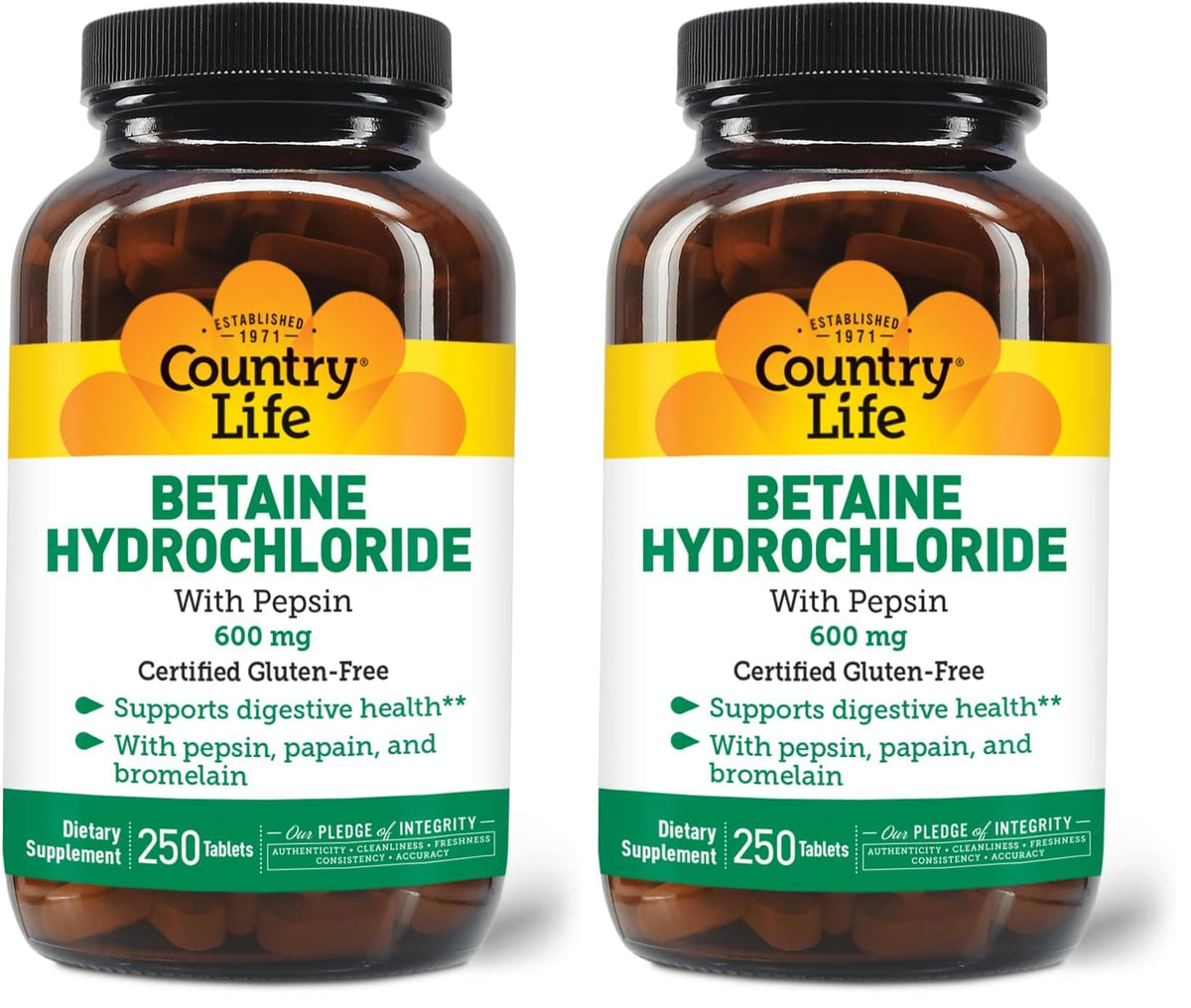 Front view of Country Life Betaine Hydrochloride with Pepsin 600 mg bottle and pack of 2