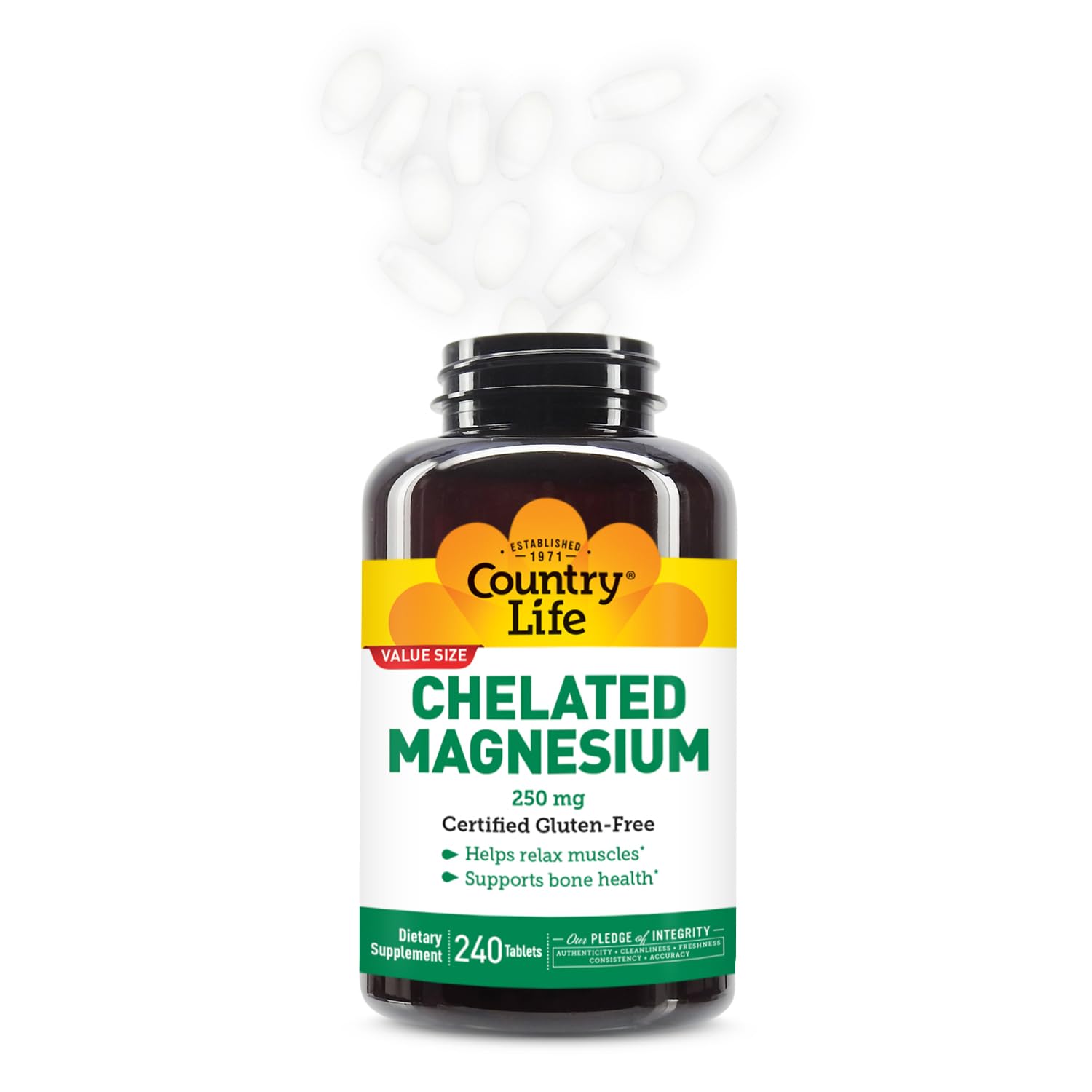 Illustration of bone and muscle health supported by magnesium