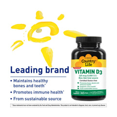Non-fish source Vitamin D3 illustration