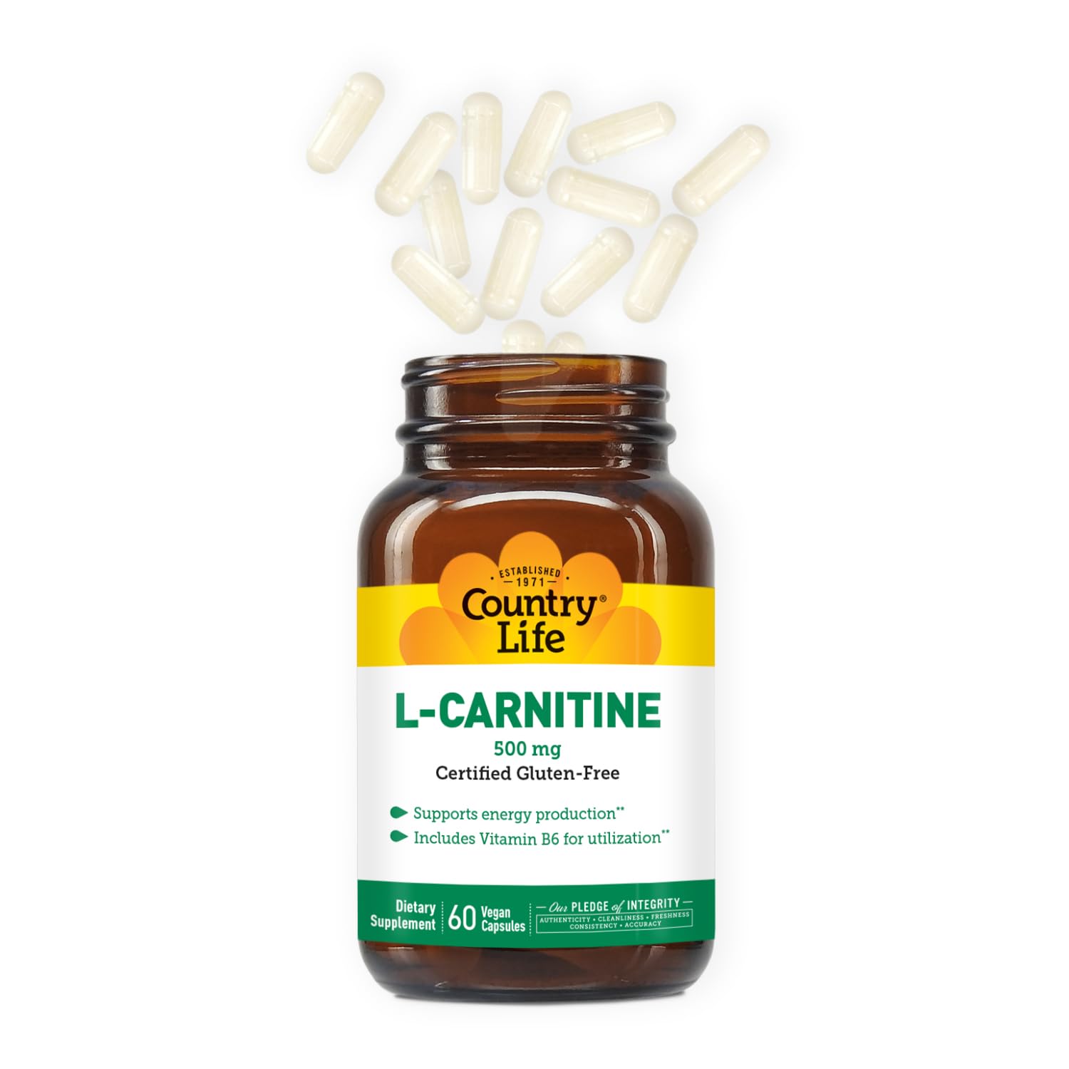 Country Life L-Carnitine package with Vitamin B6 for utilization.