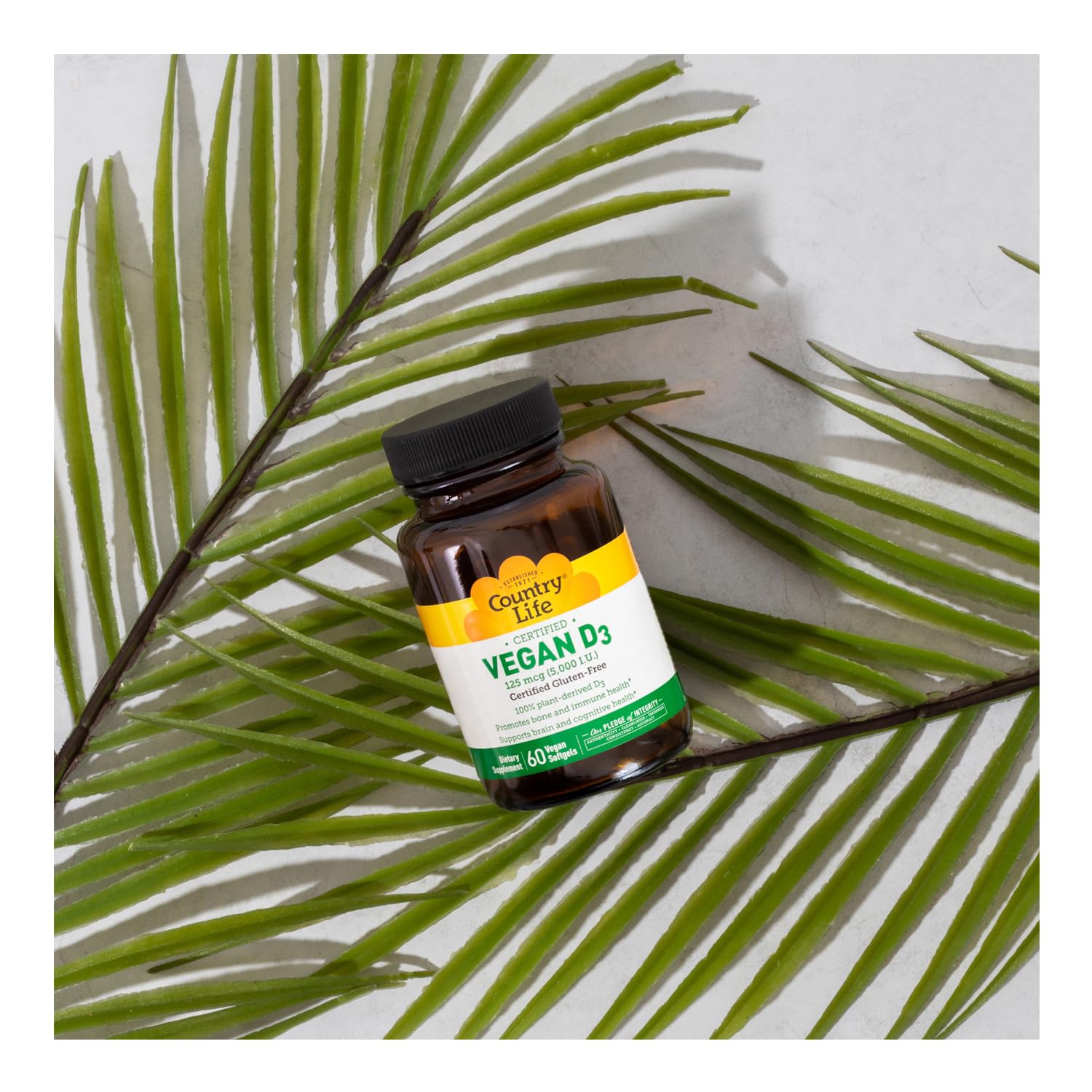 Eco-friendly recyclable packaging and box