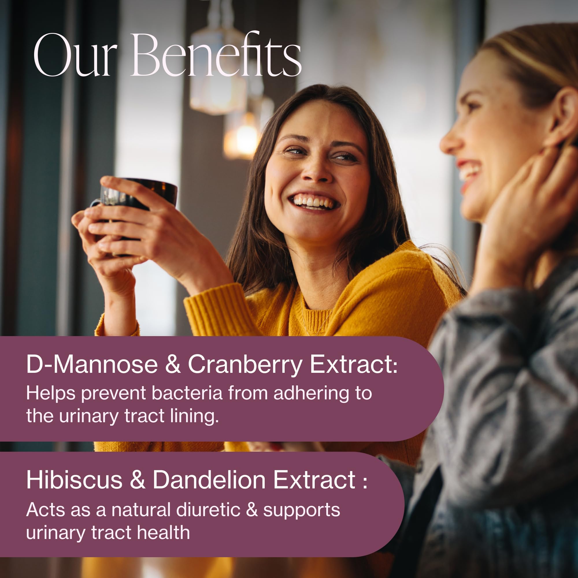 Ingredients graphic featuring cranberry, D-Mannose, dandelion and hibiscus