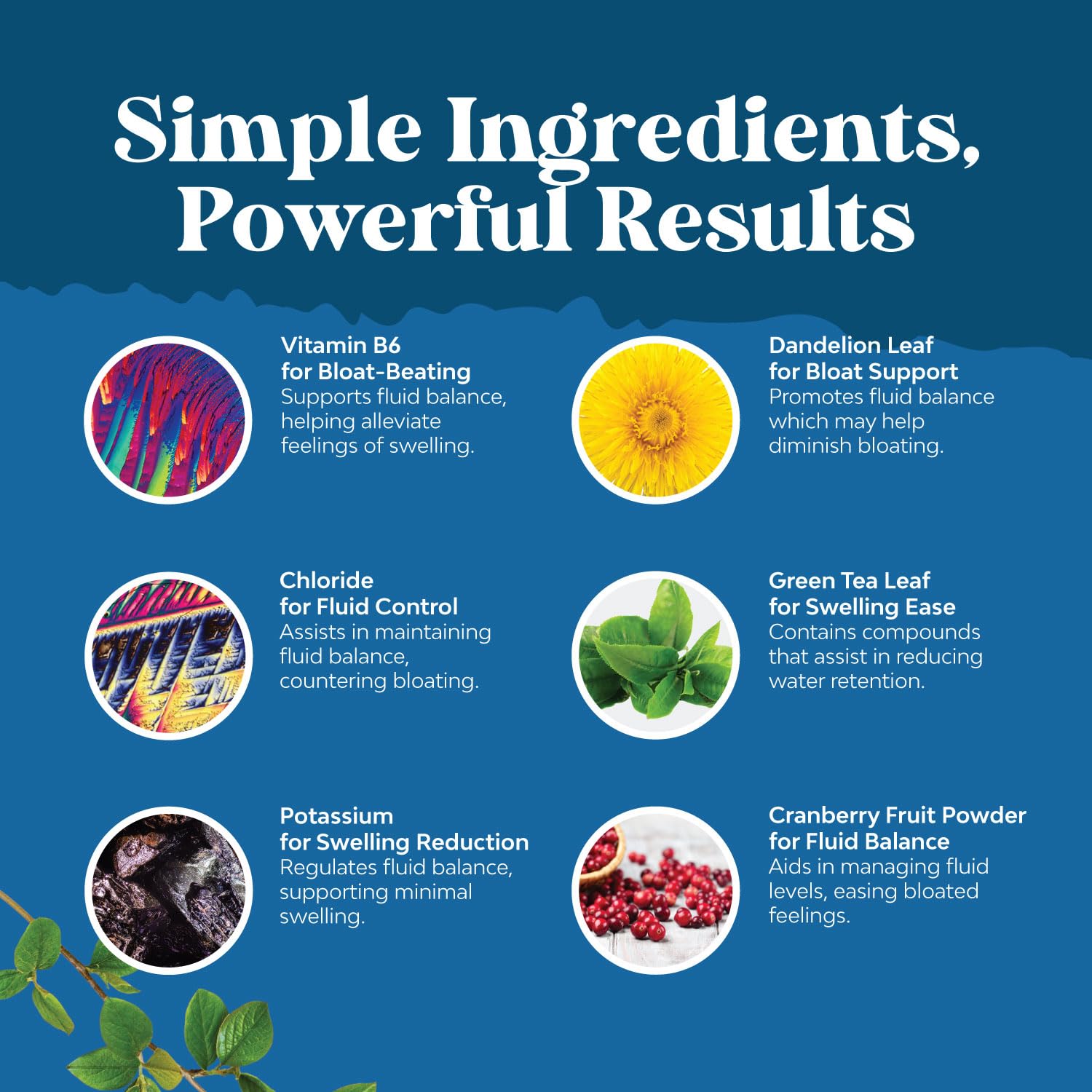 Cranberry extract included in diuretic formula
