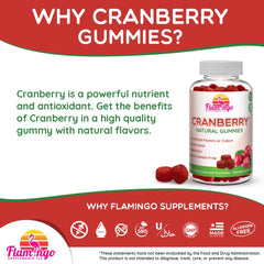 60-count Cranberry Gummies 1000 mg packaging