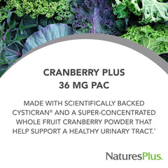 Cranberry Plus whole cranberry extract and PACs illustration