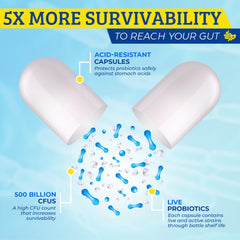 Cranberry extract and Saw Palmetto for urinary tract and prostate support