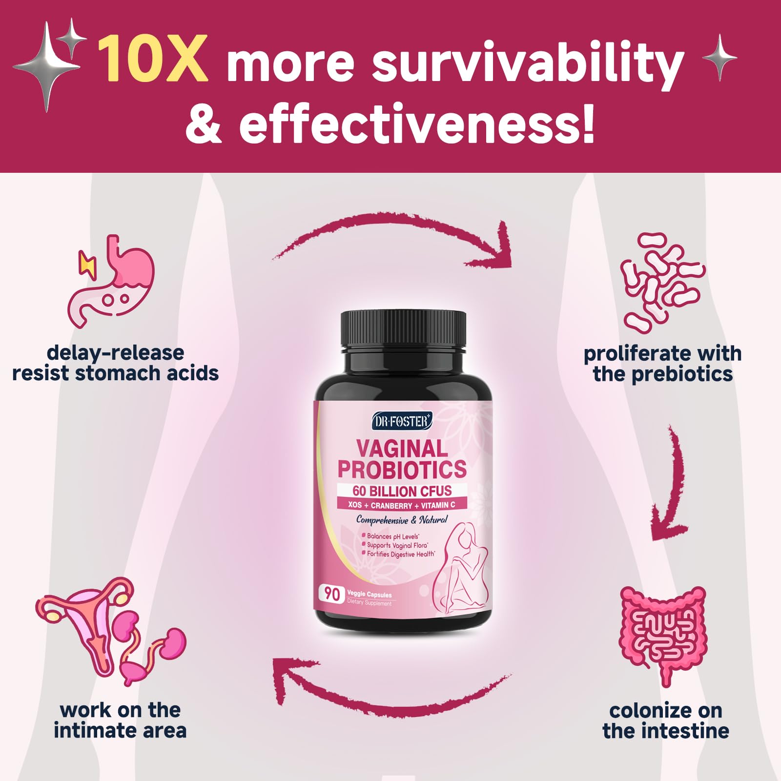 Cranberry and Vitamin C for urinary tract support