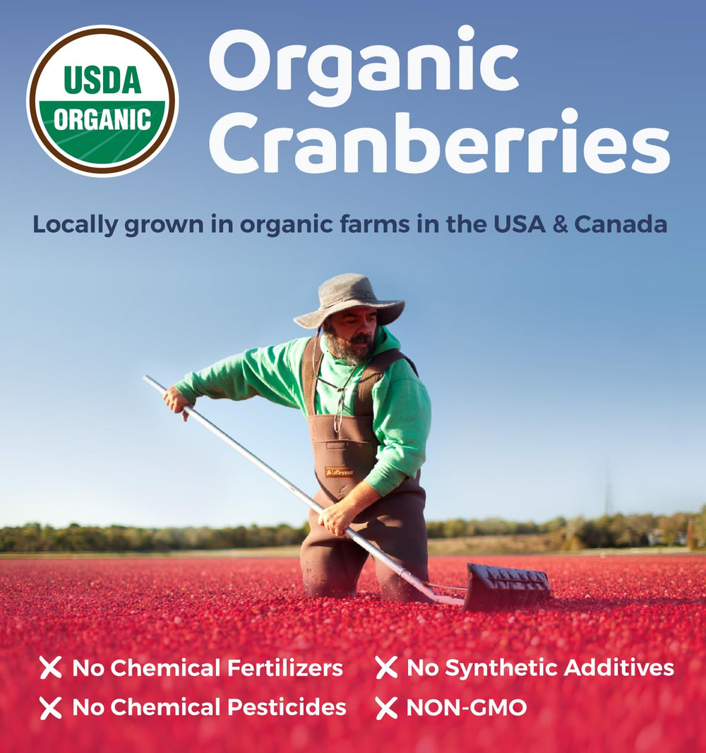 Vegan cranberry capsules in a blister pack