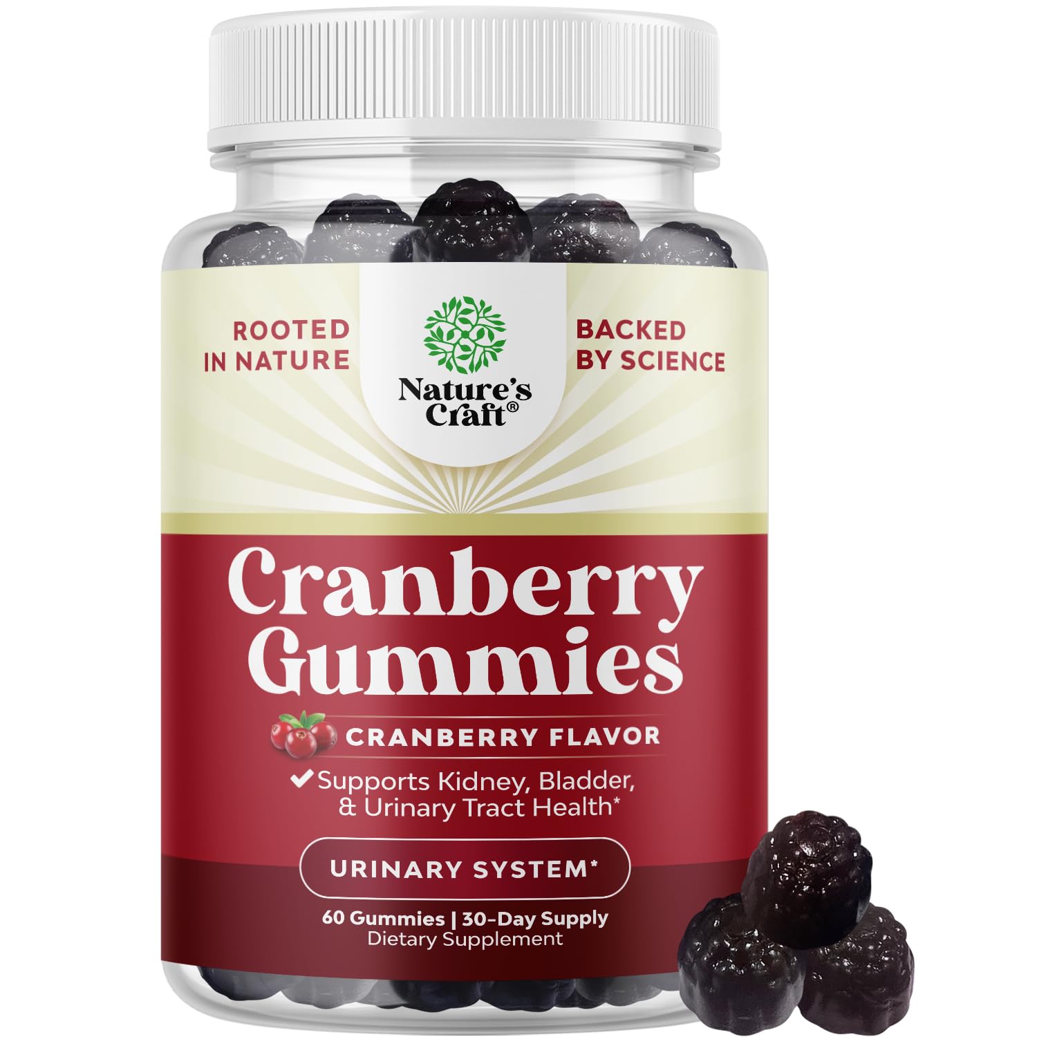 Bottle of natural cranberry gummies for urinary health