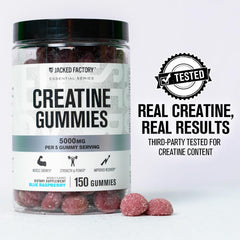 Graphic showing 5 gummies daily dose (5 g total)