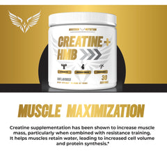 Illustration depicting muscle growth with Creatine HMB