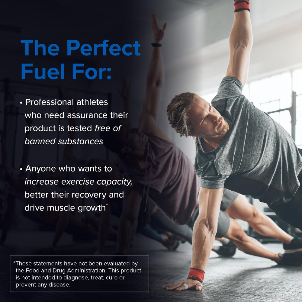 Micronized creatine monohydrate powder scoop