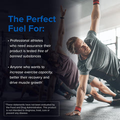 Micronized creatine monohydrate powder scoop