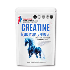 Creatine Monohydrate Powder 500g front view