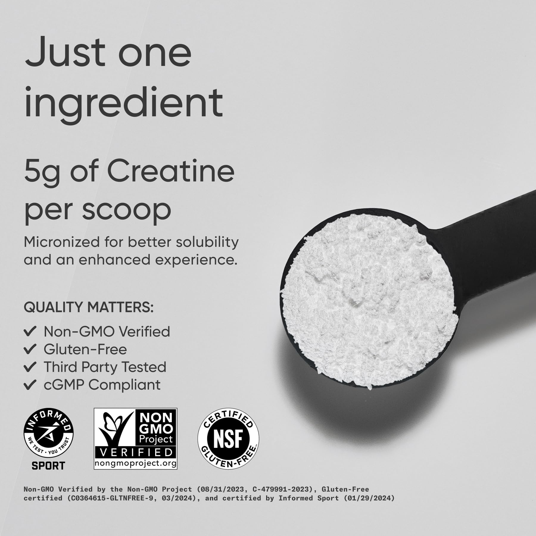 Close-up of micronized creatine monohydrate powder scoop