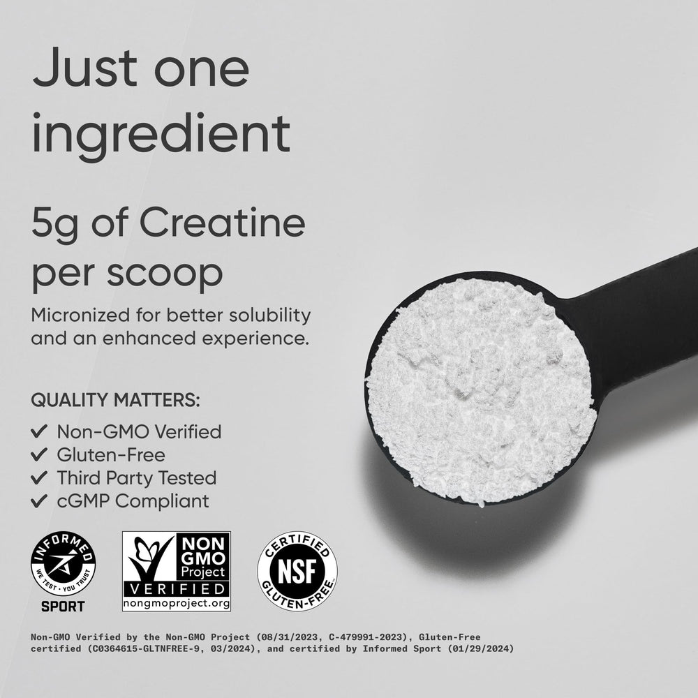 Close-up of micronized creatine monohydrate powder scoop