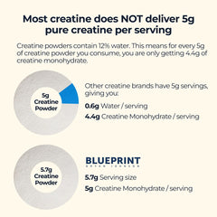 Creatine powder suitable for men and women during workouts