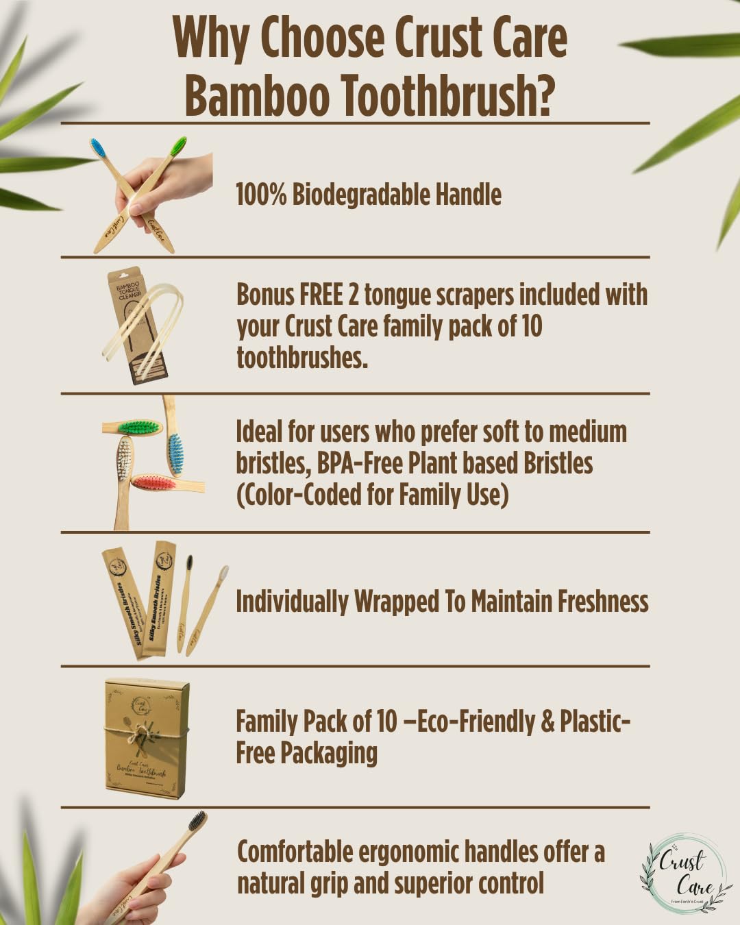 Toothbrushes individually packed for cleanliness