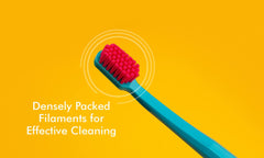 Detail of ultra-fine 5460 CUREN filaments for plaque removal