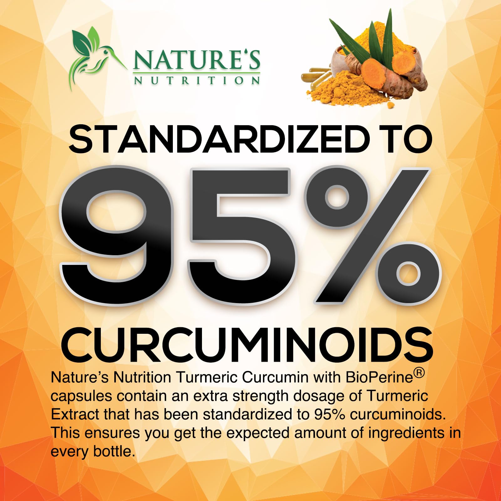 95% standardized curcuminoids label
