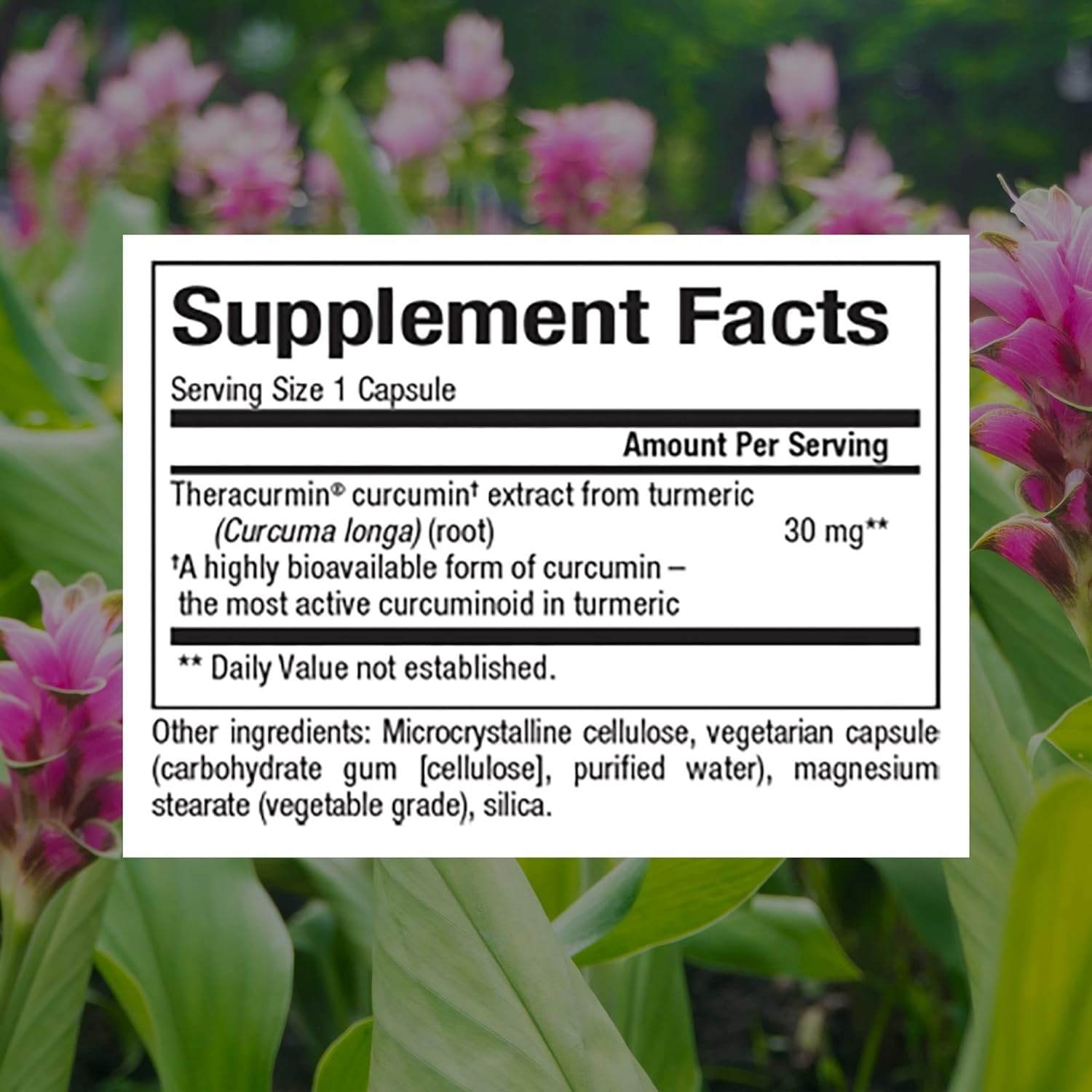 Bottle label showing CurcuminRich Theracurmin 30 mg