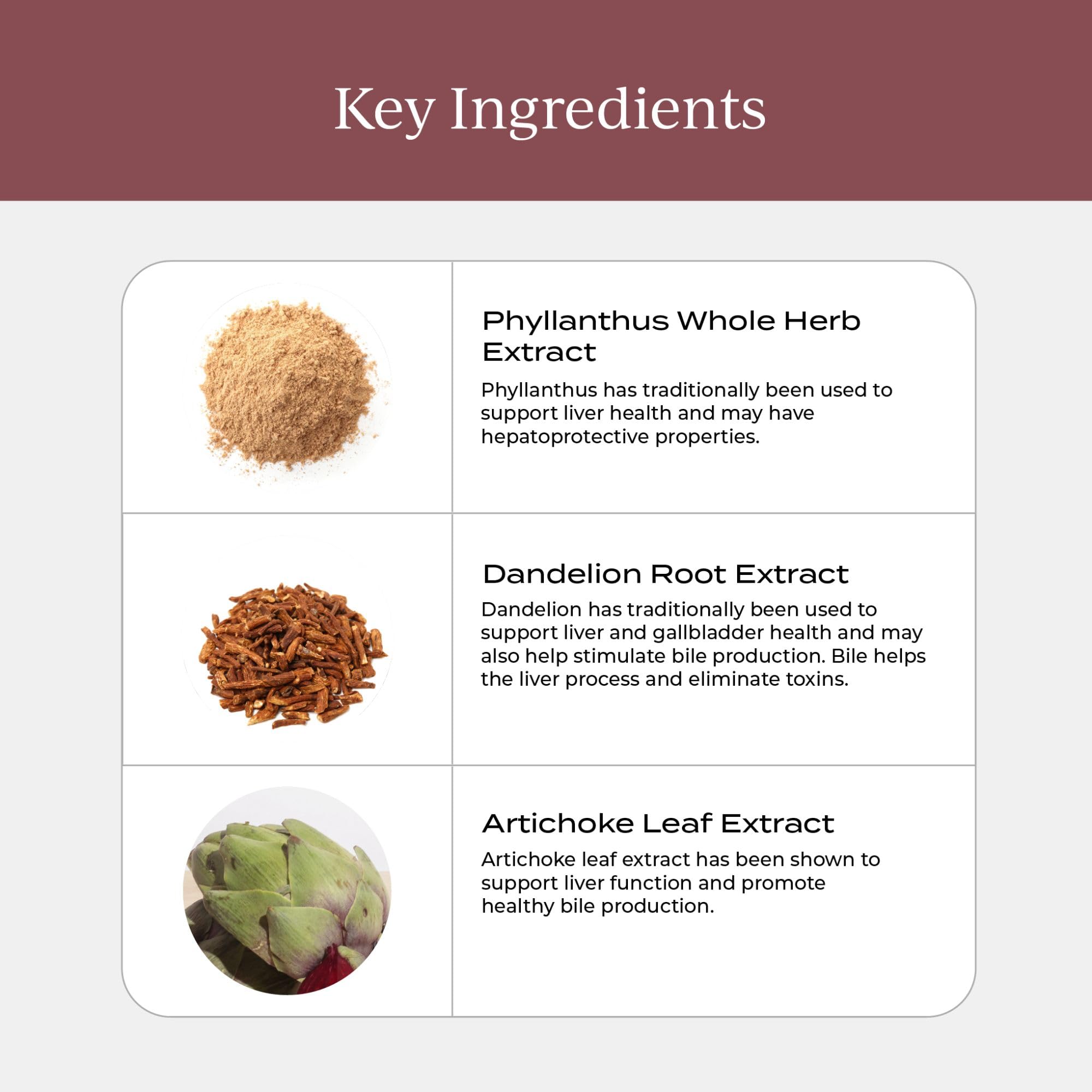 Graphic illustrating liver health, digestion and detox benefits