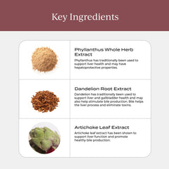 Graphic illustrating liver health, digestion and detox benefits