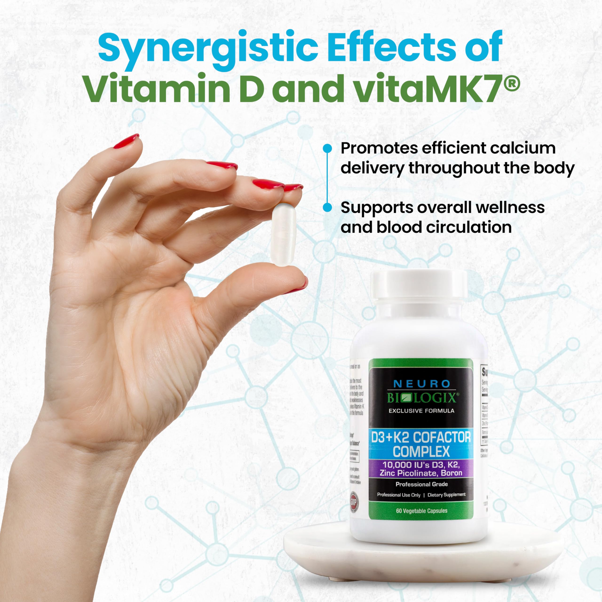 Illustration of calcium delivery and bone support