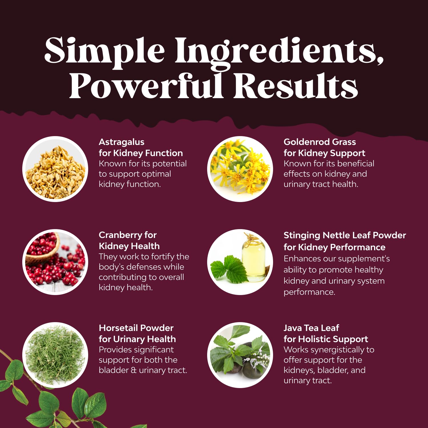 Daily dosage guideline for kidney support capsules