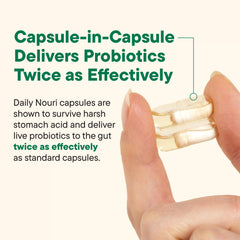 Graphic showing serotonin and cortisol support from probiotics