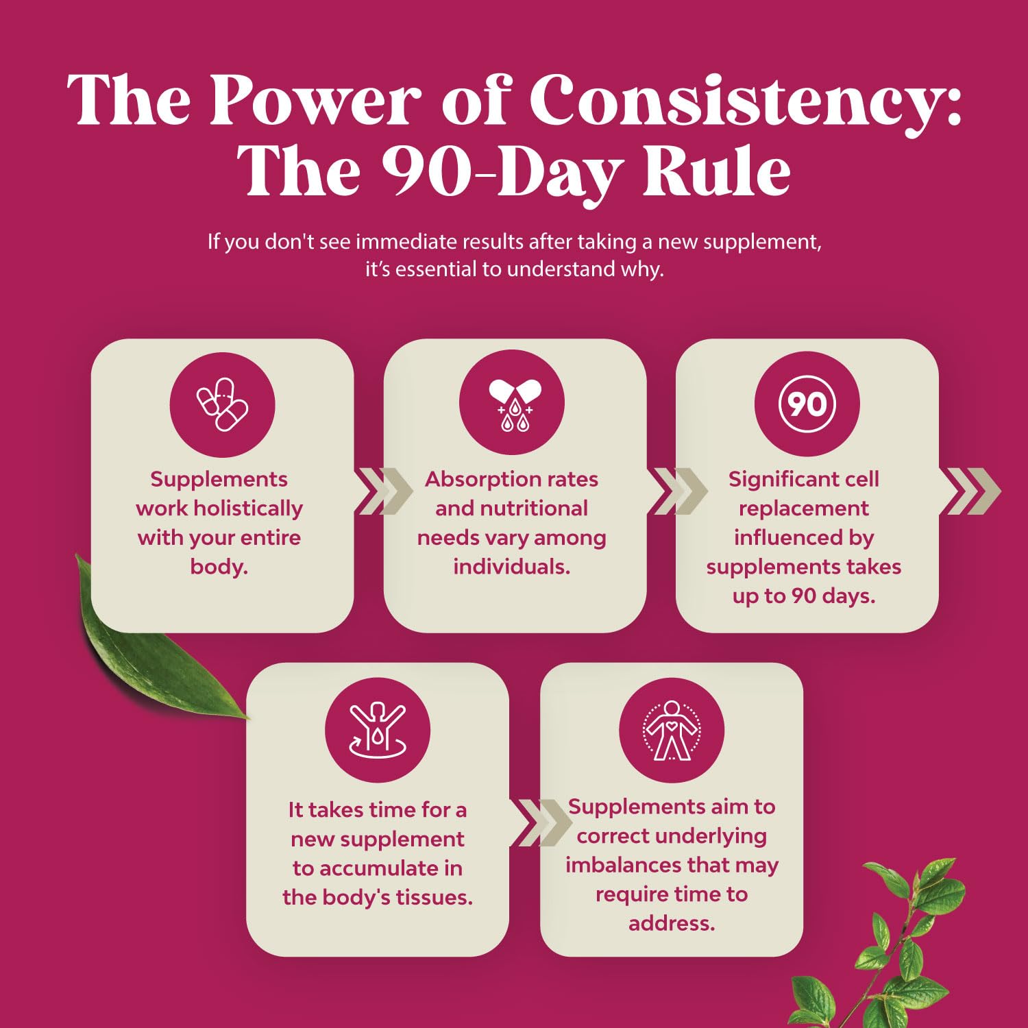 Lifestyle image showing daily wellness with maca capsules