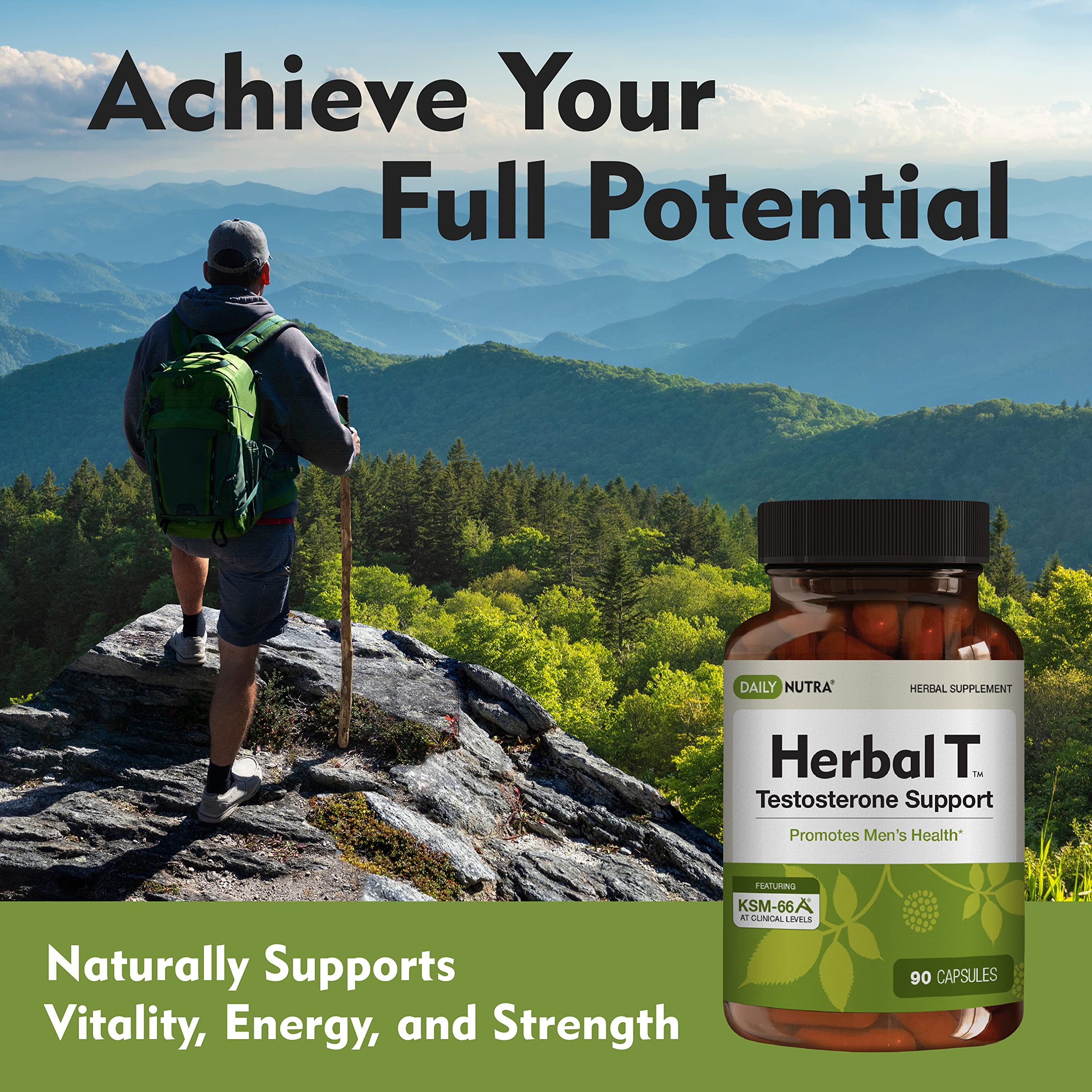 DailyNutra Herbal T bottle front view