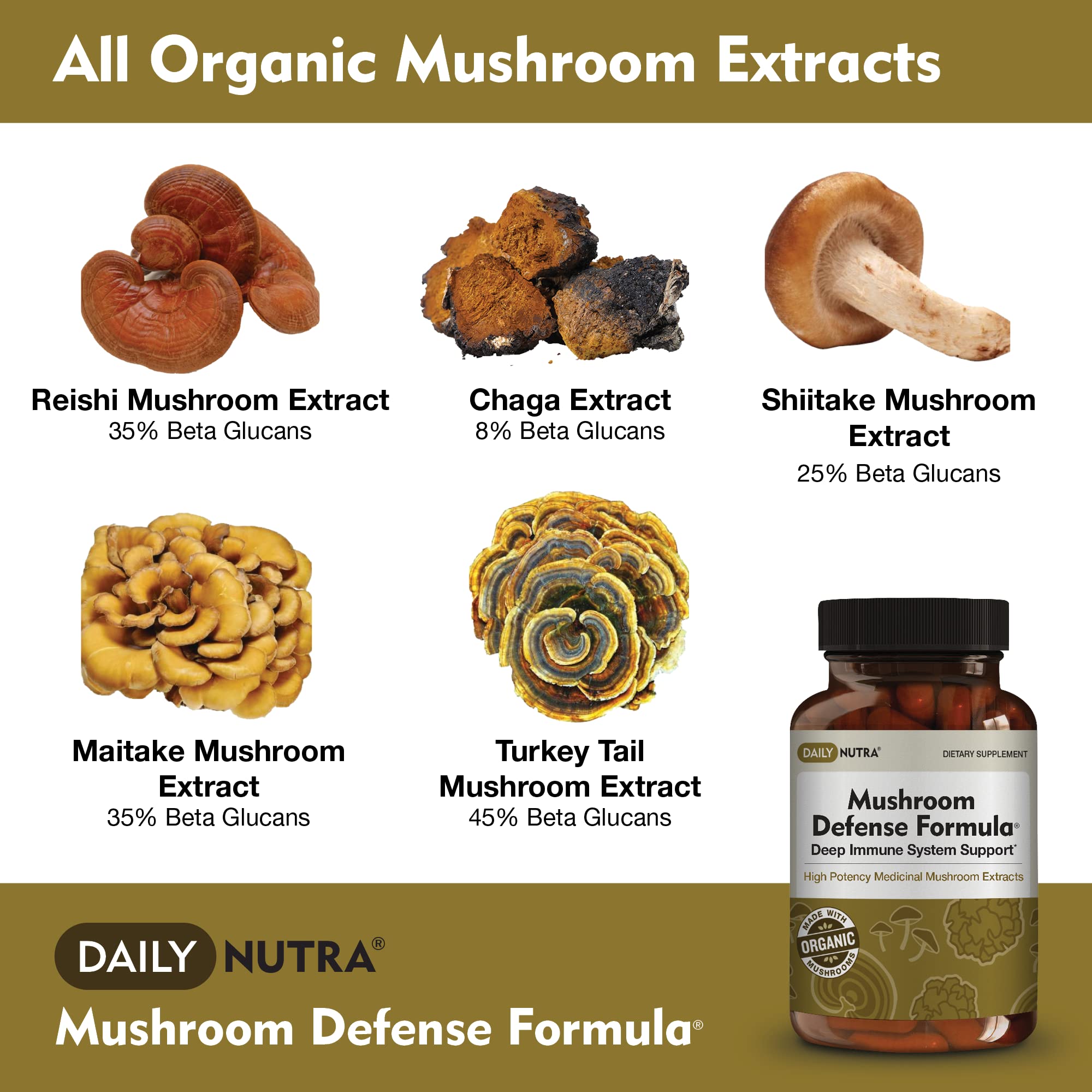 Close-up of ingredients: organic Reishi, Chaga, Maitake, Shiitake, and Turkey Tail mushrooms