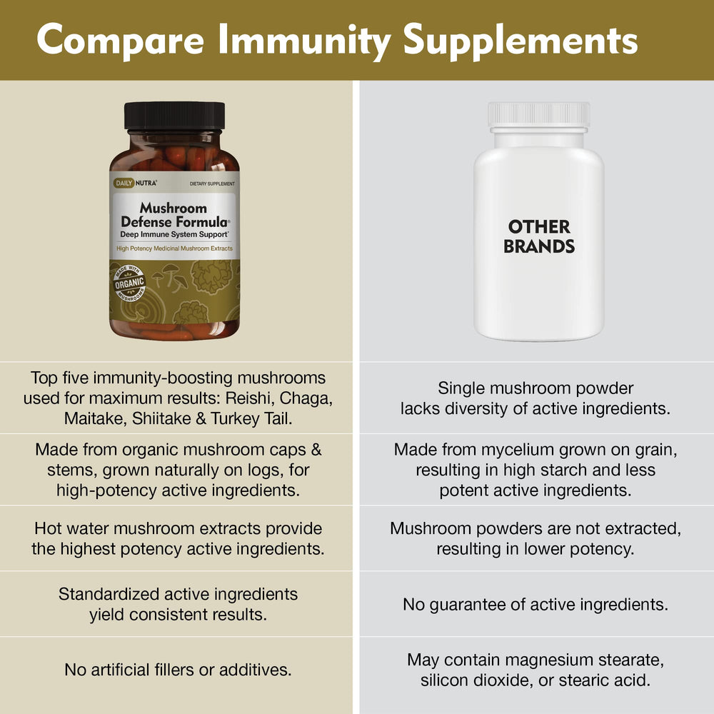 Illustration of Maitake mushroom