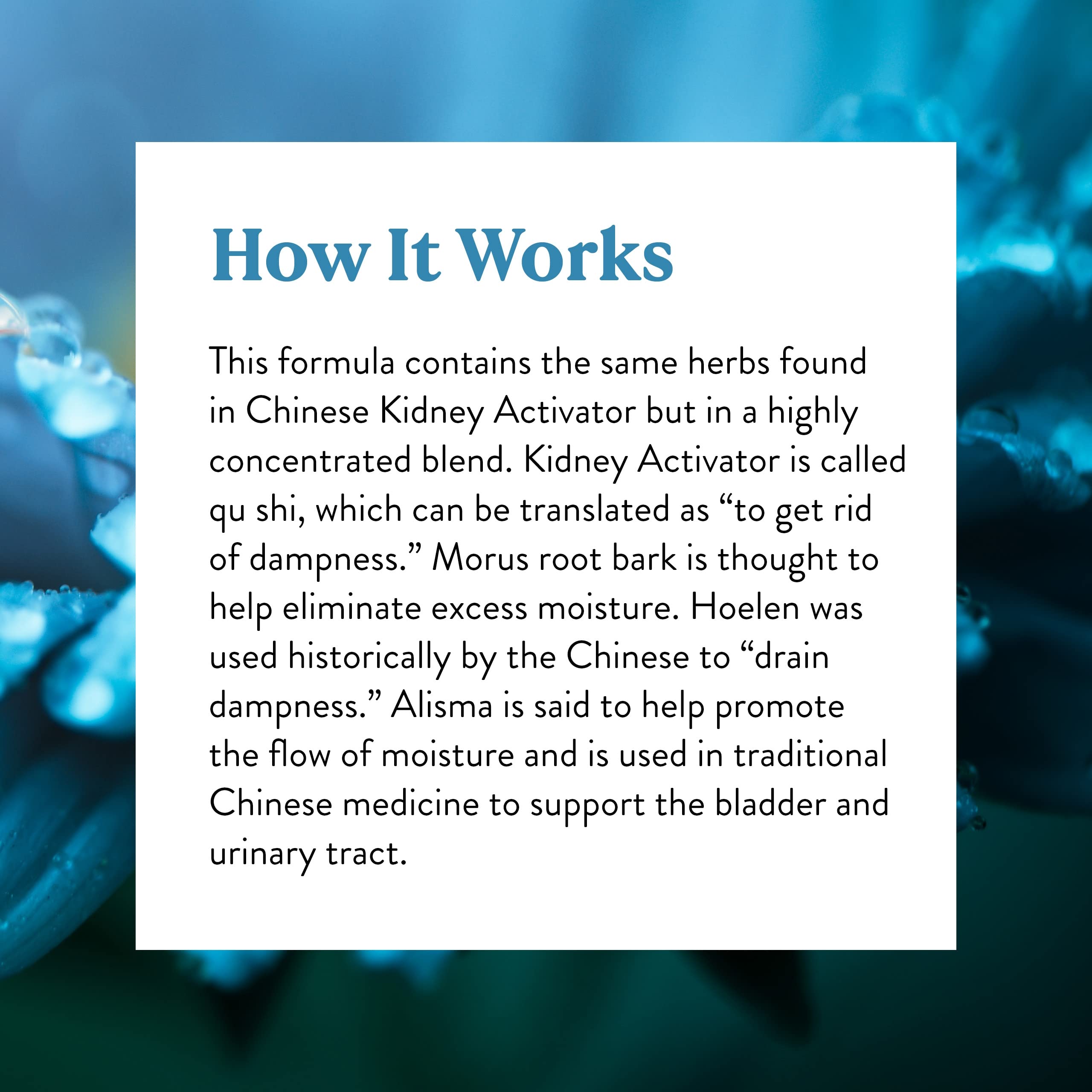Concept image illustrating dampness removal in TCM