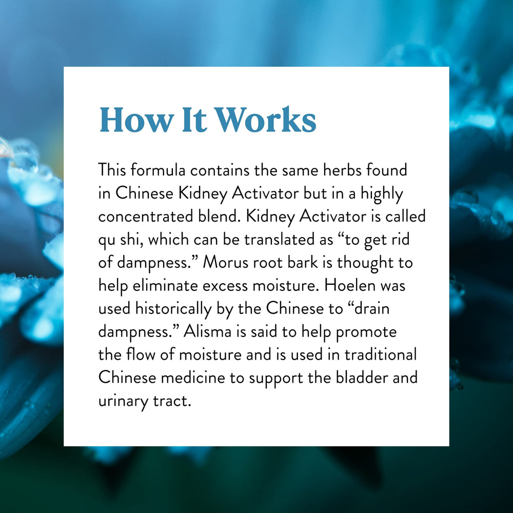 Concept image illustrating dampness removal in TCM