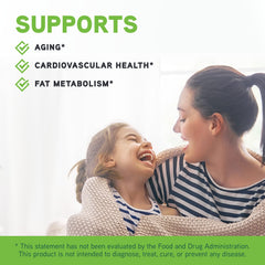 Close-up of ingredients listing on Maxi-HGH packaging