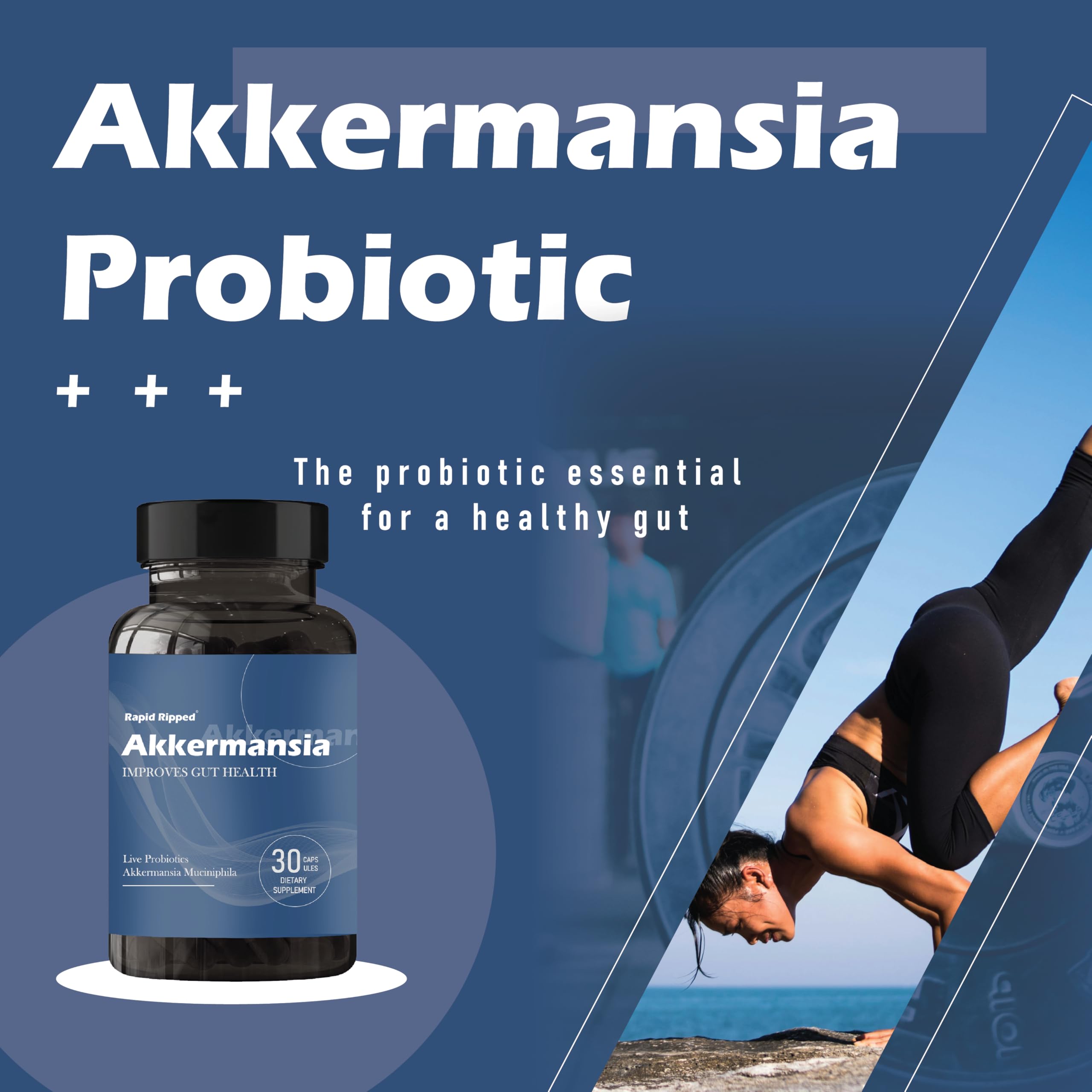 Delayed-release capsule of MAPUG Akkermansia probiotic