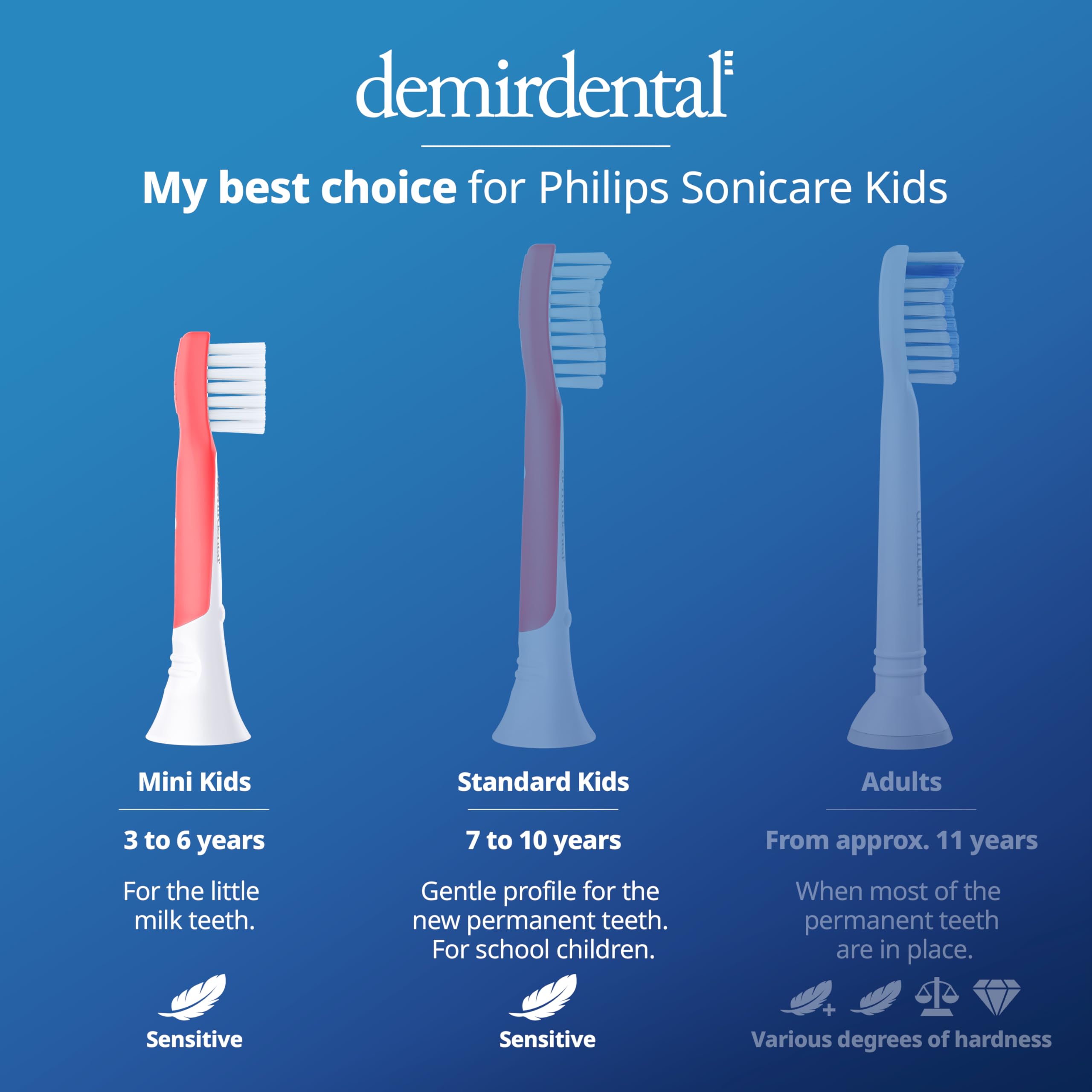 Demirdental product image – packaging of mini heads