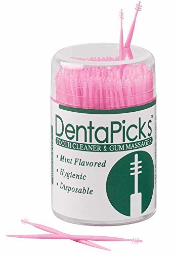 Denta Picks by WalterDrake — disposable plastic toothpicks, 300-pack, 2.5 inches long, with bristle end and rounded plaque-removal end