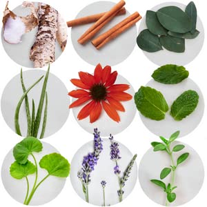 Xylitol ingredient listing on Essentials Toothpaste label
